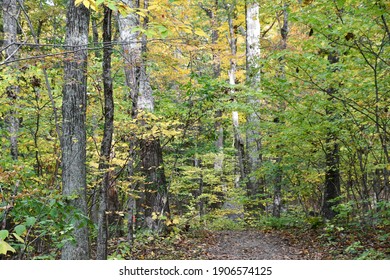 Tower Trail At Mount Tom State Park In Washington, Connecticut