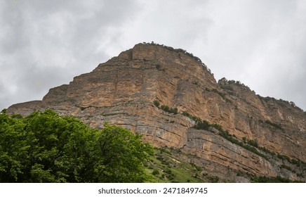 a towering cliff face with visible stratification, towering over a lush green forest under a gloomy overcast sky. - Powered by Shutterstock