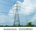 A towering electric tower supports cables to transmit electric current.