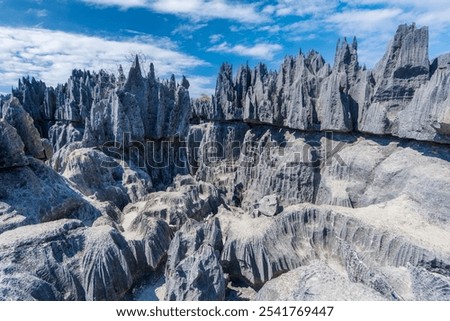 Towering limestone karst formations create the breathtaking landscape of Tsingy de Bemaraha National Park. Sharp, jagged peaks and deep canyons provide breathtaking views. Madagascar, Africa.