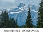 Towering peaks of the Canadian Rocky Mountains at Banff National Park. Evergreen trees in the foreground and a cloudy gray sky. Alberta, Canada.
