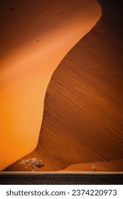 Towering sand dunes in the Namib-Naukluft National Park, Namibia, Africa. 