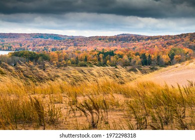 Towering Sand Dunes And Vibrant Fall Color In The Sleeping Bear Sand Dunes NAtional PArk.