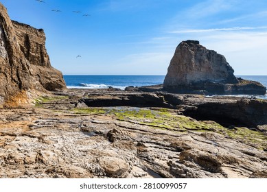 Towering sea stack at Four Mile Beach near Santa Cruz, California, along Highway 1 on the Pacific coast with layered sandstone shoreline, ocean waves, bright blue sky and sunny coastal landscape
