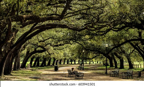 Houston Stock Photos Images Photography Shutterstock
