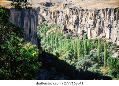 Towering tuff cliffs frame the vibrant Ihlara Valley canyon in Cappadocia, Turkey, where slender poplars and lush greenery line the trekker's path along the riverbed. Dramatic eroded rock formations meet arid plateaus, ideal for adventure ads, hiking guides, travel magazines, eco-tourism posters, and geology books craving epic nature escapes.