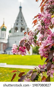 Towers and dome of temples and churches with white walls in Kolomna at the Cathedral Square in Moscow region and Red leaves of decorative apple - Shutterstock ID 1987080827