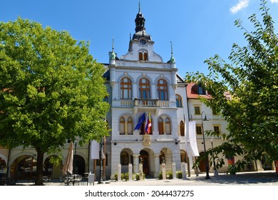 Town hall in Novo Mesto in Dolenjska, Slovenia with trees on the side - Shutterstock ID 2044437275