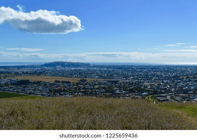 Town Of Napier, NZ From Sugar Loaf Reserve