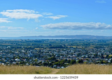 Town Of Napier, NZ From Sugar Loaf Reserve