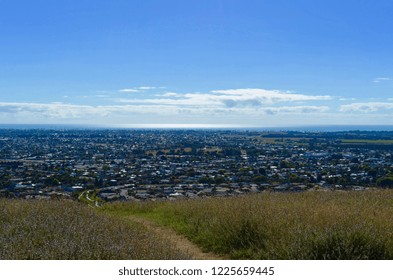 Town Of Napier, NZ From Sugar Loaf Reserve