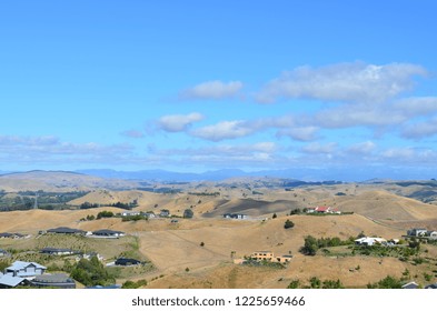 Town Of Napier, NZ From Sugar Loaf Reserve