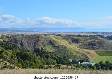 Town Of Napier, NZ From Sugar Loaf Reserve