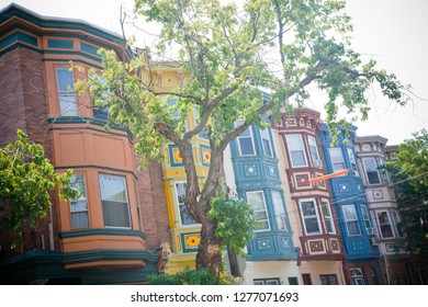 Town-homes In An Urban Area On A Street Lined With Trees. The Urban Tree Canopy Provides Shade For The Homes On This Street. 