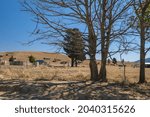 Township in Hogsback on a Spring day