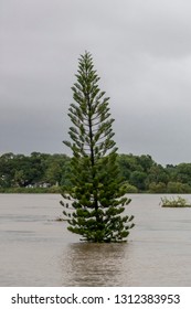 Townsville, Queensland, Australia - February 01 2019:  Rising Flood Waters Threaten Imminent Inundation Of Homes In The Suburb Of Annandale During The 2019 Monsoon Trough That Menaced Townsville.