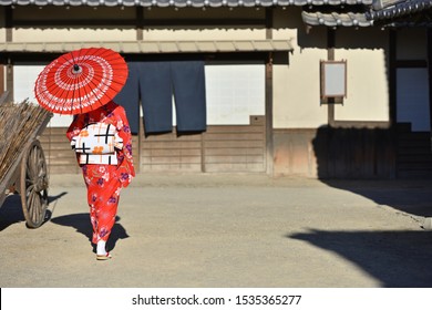 A Townswoman In The Edo Period