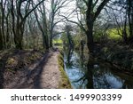 Towpath beside the old Tavistock canal which was constructed early in the 19th century to link the town of Tavistock to Morwellham Quay on the River Tamar.