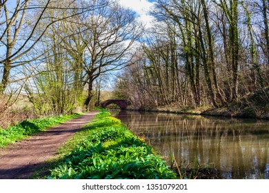 Towpath On Chesterfield Canal