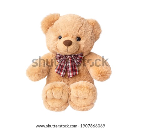 Toy bear isolated on white, without shadow.