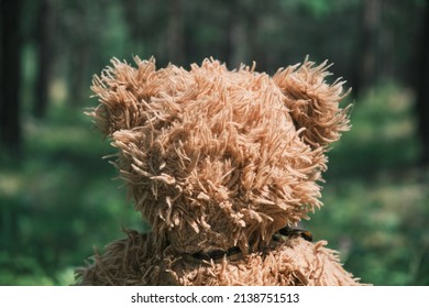 A toy bear lost in the forest. Teddy bear in a real forest
