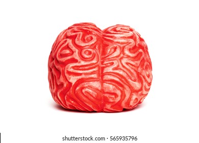 Toy Brain Isolated On White, Front View