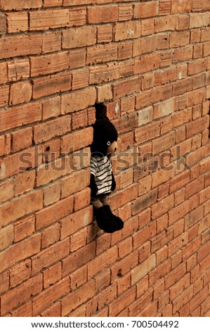 Similar – Image, Stock Photo Colorful clothes pegs are hanging from a clothesline in a backyard. Budget