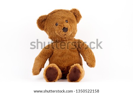 toy brown bear on white background