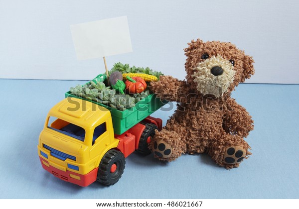 Toy car with real succulents,\
toy vegetables and blank card for sign. Teddy bear sitting\
beside.