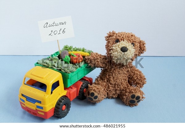 Toy car with\
real succulents, toy vegetables and sign Autumn 2016 on the white\
card. Teddy bear sitting\
beside.