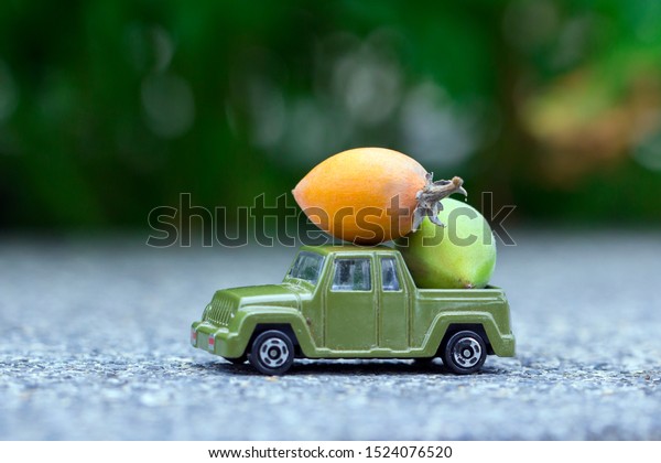Toy car are\
transportation agricultural\
products.