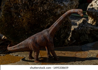 Toy Diplodocus On A Rocky Stage