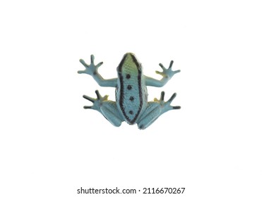 Toy Frog Isolated On White Background