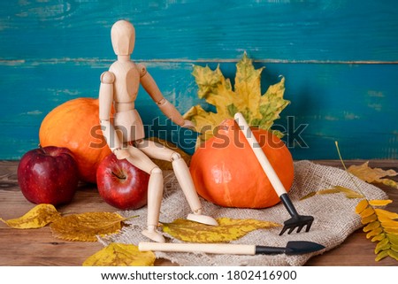 toy gardener with tools next to a pumpkin