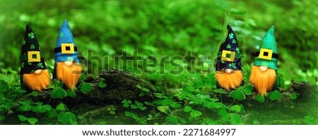 toy gnomes in forest, abstract green natural background. magic friends dwarfs in mystery nature. fairy tale image. spring, summer season. symbol of St. Patrick day, traditional irish holiday. banner.