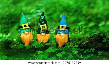 toy gnomes in forest, abstract green natural background. magic dwarfs in mystery nature. fairy tale image. spring, summer season. symbol of Ireland, St. Patrick day, traditional irish holiday