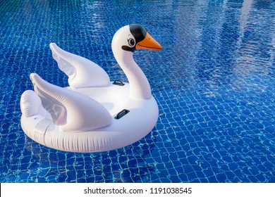 Toy Inflatable Swan Floating In Blue Summer Pool. Concept Idea For Relax Beach Vacation Holidays.