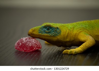 jelly lizard toy