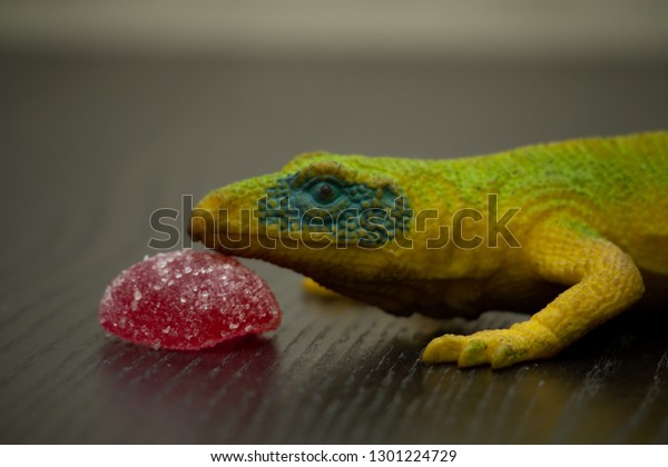 jelly lizard