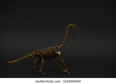 brachiosaurus skeleton