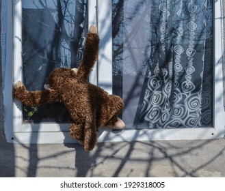 A toy monkey peeps through the window. The concept of voyeurism.