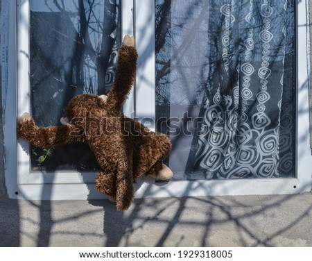 A toy monkey peeps through the window. The concept of voyeurism.