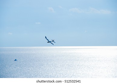 Toy Plane Flying Over The Sea.