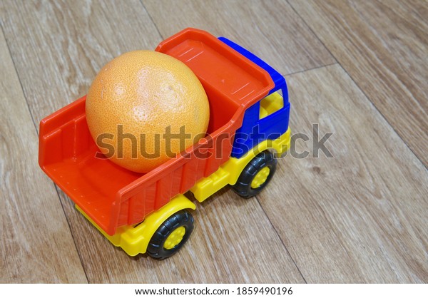 Toy plastic multi-colored truck loaded with\
ripe grapefruit. The concept of delivering grapefruit from producer\
to consumer.