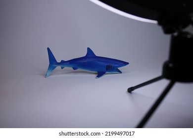 A Toy Or Plastic Shark In The Spotlight