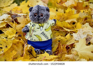 Toy Plush Cat In The Autumn Landscape