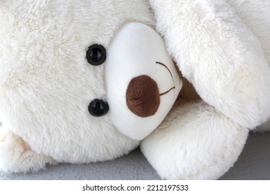 Toy Polar Bear Close-up. Teddy Bear.