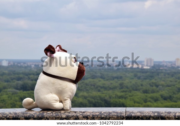 walking pug toy