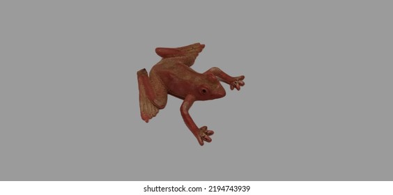 Toy Rubber Frog Isolated On Background 