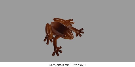 Toy Rubber Frog Isolated On Background 